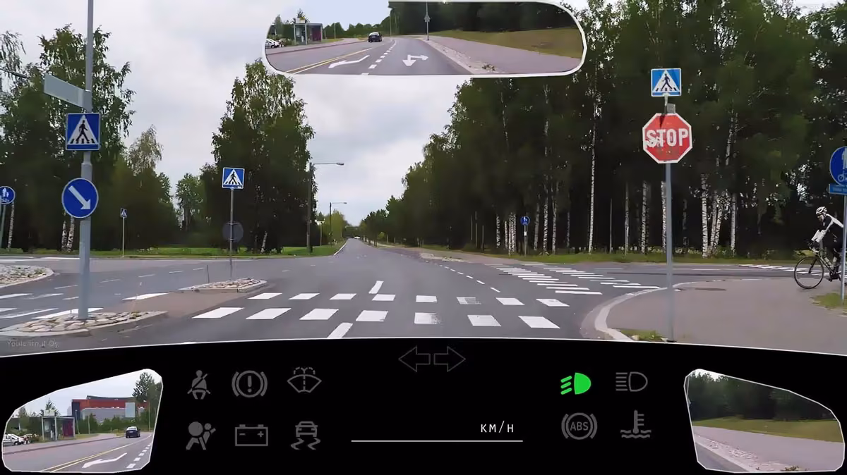 Kysymyksen 31 kuvitus